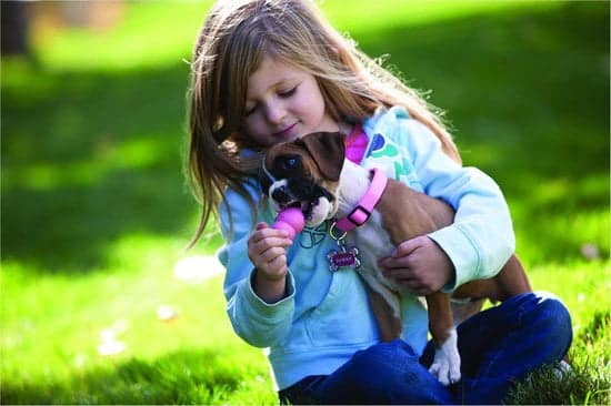 kong puppy roze