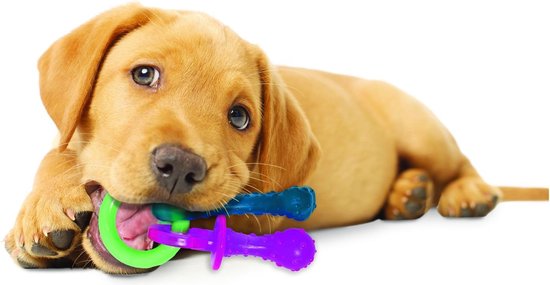 puppy kauw speelgoed