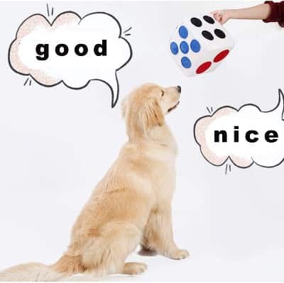 kubus intelligentie speelgoed