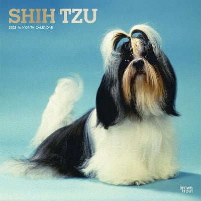 shih tzu kalender 2023