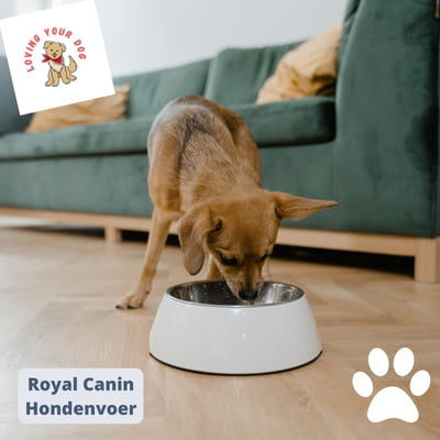 Royal Canin hondenbrokken