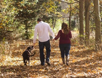 Vakantiehuisje Veluwe met hond