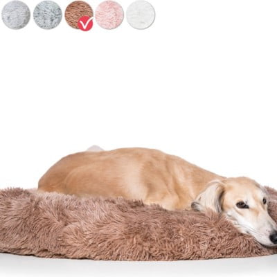 Lange hond ontspannen liggend in een grote, bruine fluffy donut hondenmand met kleurkeuzes erboven