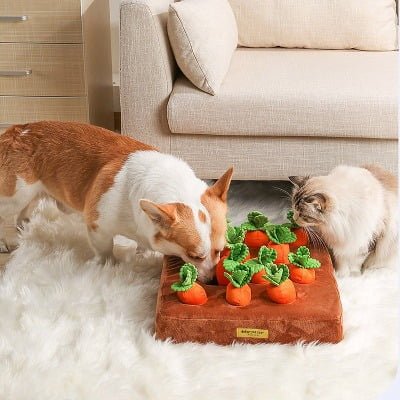 Mag een Hond Yoghurt Eten? Ja Echt dat Mag!