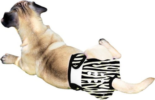 Sharon B loopsheidbroekje 