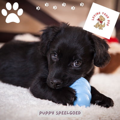puppy speelgoed