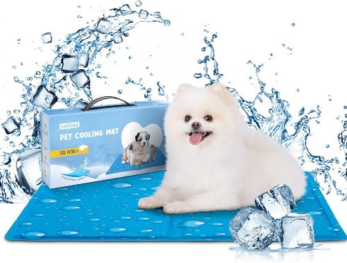 Witte fluffy hond ligt op een blauwe koelmat met water- en ijsblokjes als achtergrond en een verpakking van de koelmat hond erbij