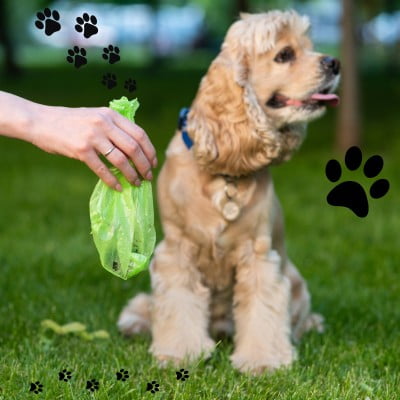 honden poepzakje