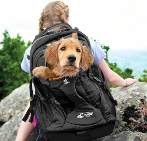 Kurgo Hondenrugzak voor Kleine honden