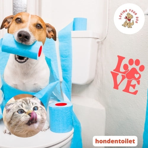 hondentoilet
