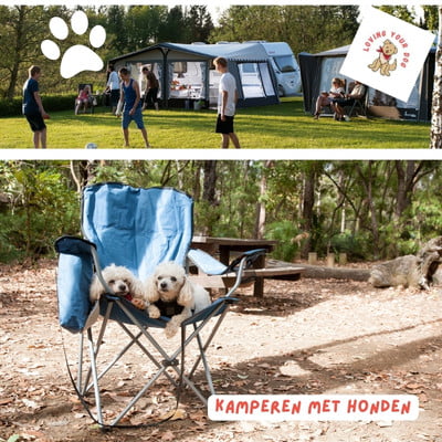 kamperen met honden