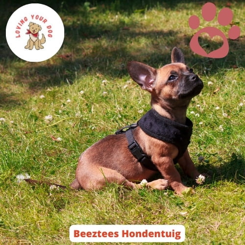 Beeztees hondentuig