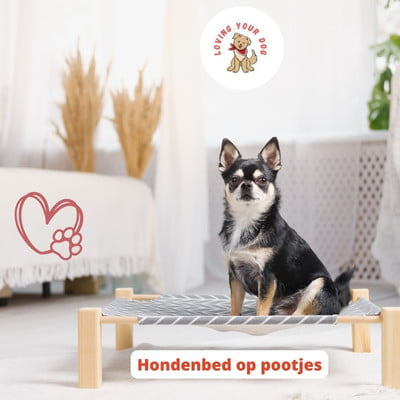 Hondenbed op poten