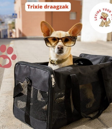 Loopsheidbroekje Kopen: Deze 15 zijn Echt goed [Voordelig]