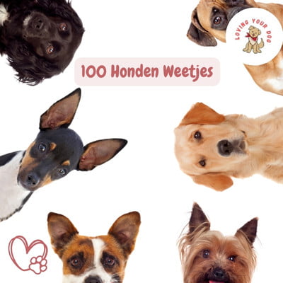 100 hondenweetjes