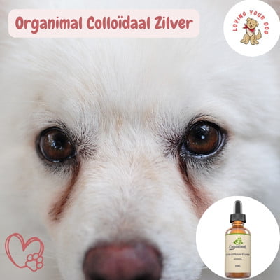 Organimal Colloïdaal Zilver