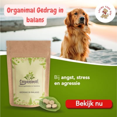 Organimal gedrag in balans