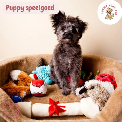 Puppy speelgoed