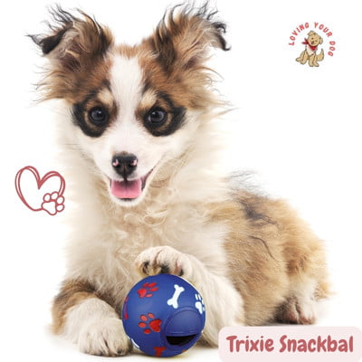 Trixie snackbal hond