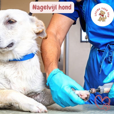 honden nagelvijl
