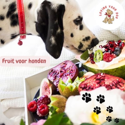 10x Praktische Praatknop Hond – Ontdek Communicatie! [Actie]