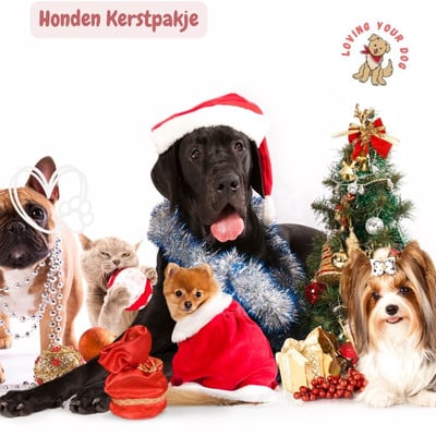 Honden kerstpakje