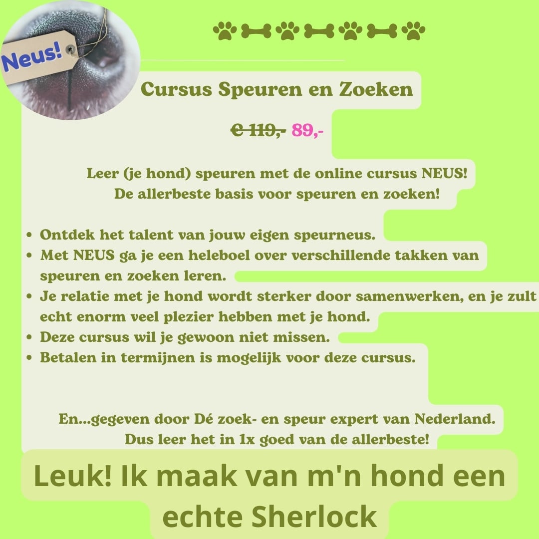 Speurtraining hond Cursus: Leer je hond speuren met 'NEUS'