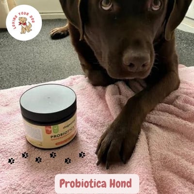 Probiotica hond snoepjes