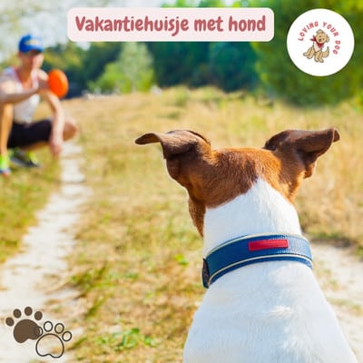 Vakantiehuisje met hond boeken