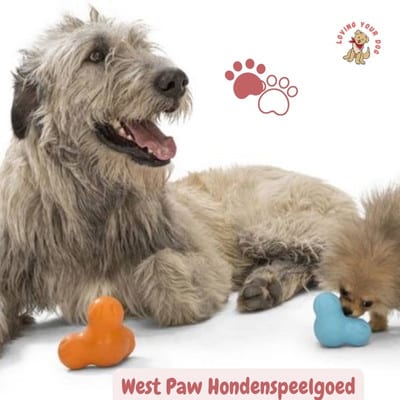 West Paw Zogoflex
