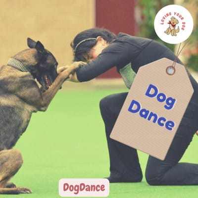 DogDance