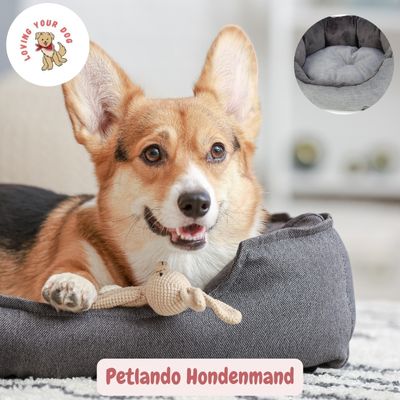 Petlando hondenmand