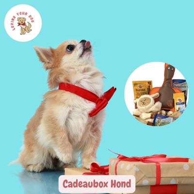 Cadeaubox Hondje