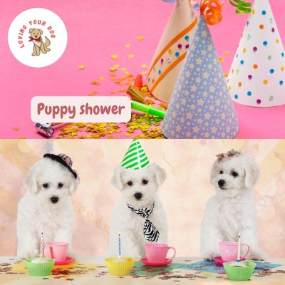 Puppy shower party