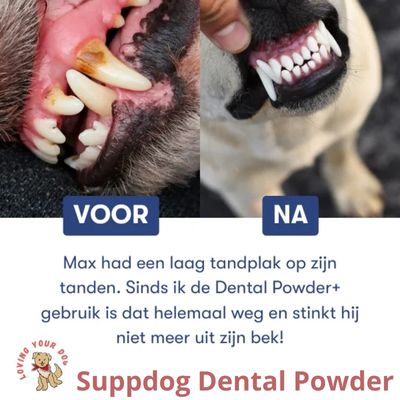 Suppdog Dental powder
