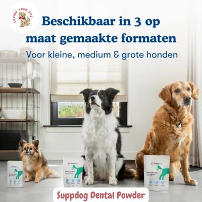 Suppdog Dental powder hond